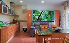 Apartamento Rulosol 2